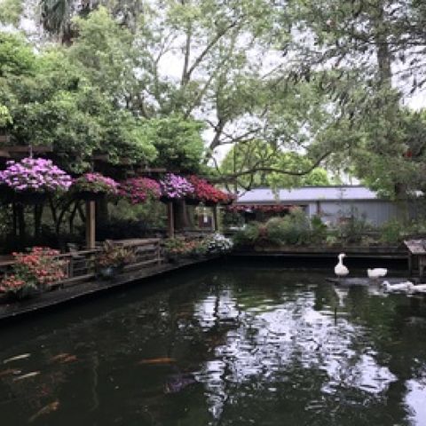 苗栗-花露休閒農場,大湖酒莊,湖畔花時間| 拼車一日遊