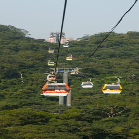 新北-十分,深坑老街,菁桐車站,搭乘貓空纜車|包車一日遊