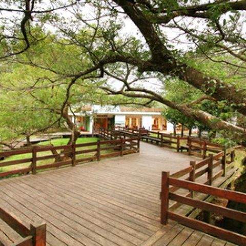 桃園-石門水庫,兩蔣文化園區,大溪茶廠,角板山| 包車一日遊