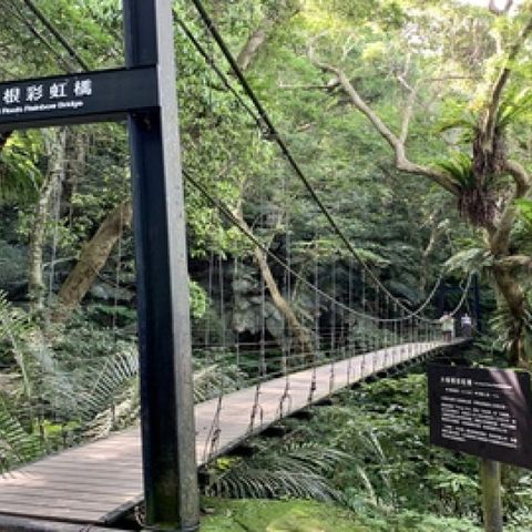 多地區-石門水庫,龍山寺,三峽老街,大板根| 包車一日遊