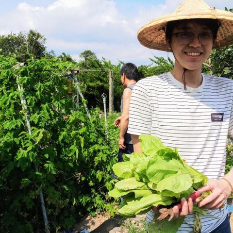 台東-饗嚮台東-農業體驗| 四季農耕一日農夫(6人成行)(滿4歲-6歲)