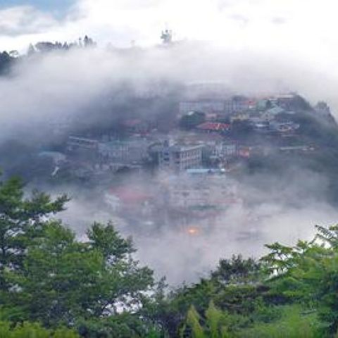 桃園-拉拉山神木群森呼吸| 假日拼車一日遊