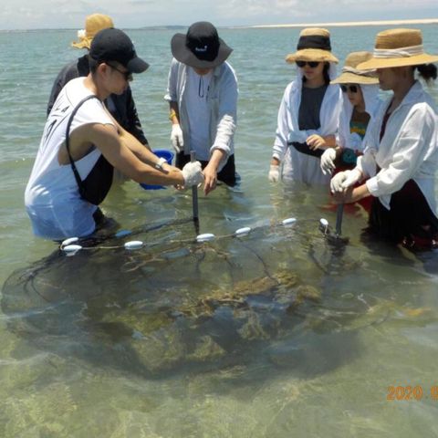 澎湖-北海金八達| 吉貝輕旅行-船票&潮間帶,抱礅抓魚&貝殼紀念品DIY&環島機車