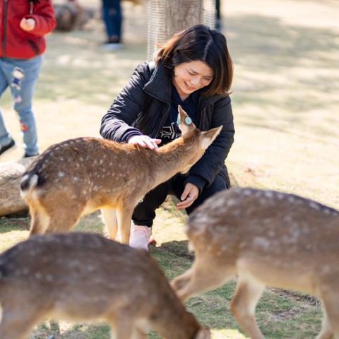 屏東 -小琉球鹿粼梅花鹿園區| 入園門票 