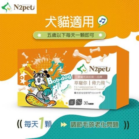 【N2pet萃寵你】N2pet萃寵你骨力飛 三盒組線上宅配券(mo)