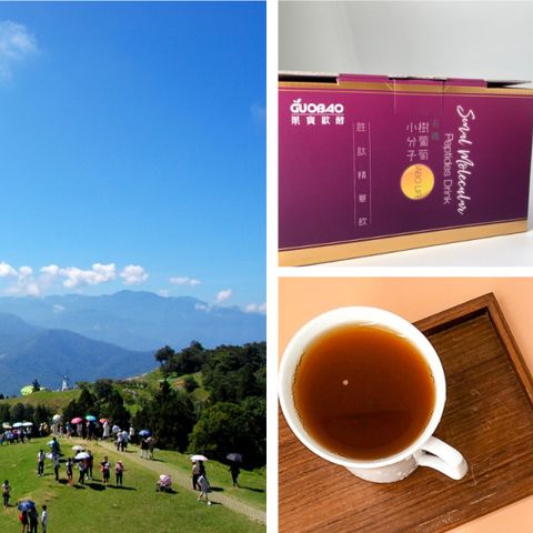 南投-清境農場青青草原入園券| 半票(贈觀光工廠來店禮)| 外籍旅客限定