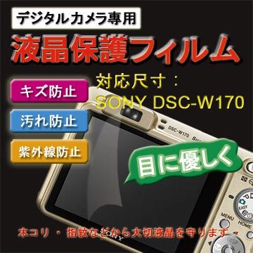 SONY 索尼  DSC-W170專用