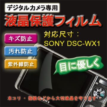 SONY 索尼 DSC-WX1專用