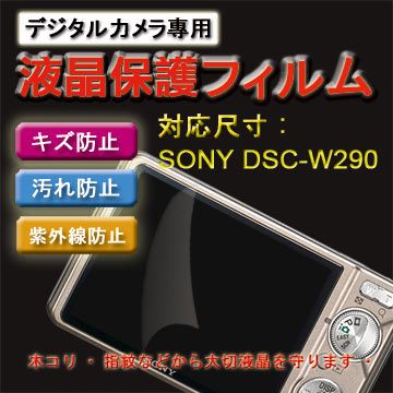 SONY 索尼 DSC-W290專用