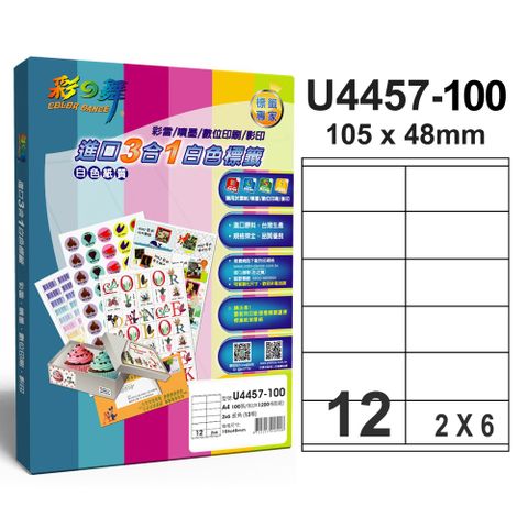 彩之舞進口3合1專業標籤U4457*2盒