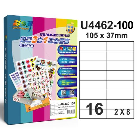 彩之舞進口3合1專業標籤U4462*2盒