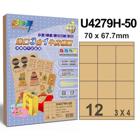 彩之舞進口3合1牛皮標籤U4279H