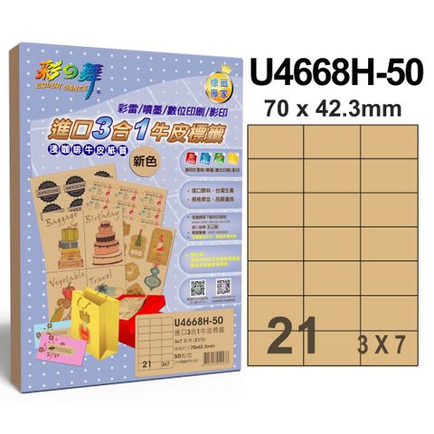 彩之舞進口3合1牛皮標籤U4668H