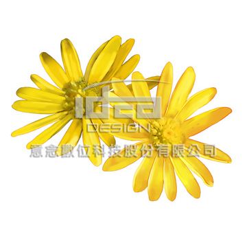意念  去被單花圖flower 01-044