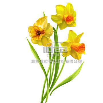 意念  去被單花圖 flower 01-045