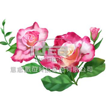 意念  去被單花圖 flower 01-047