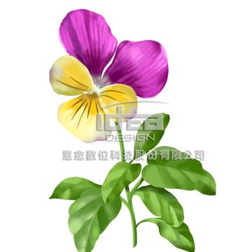 意念  去被單花圖 flower 01-043