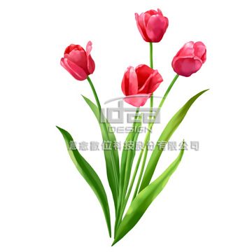 意念  去被單花圖 flower 01-046