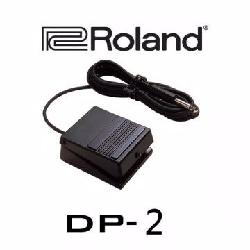 ROLAND樂蘭延音踏板DP-2』堅固耐用的延音踏板/腳踏開關板- PChome 24h購物