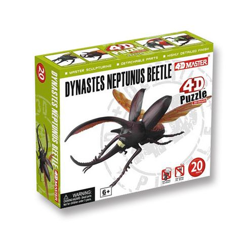 《4D MASTER》甲蟲系列-海神大兜蟲DYNASTES NEPTUNUS BEETLE
