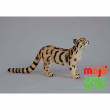 【MOJO FUN 動物模型】動物星球頻道獨家授權 - 雲豹 387172