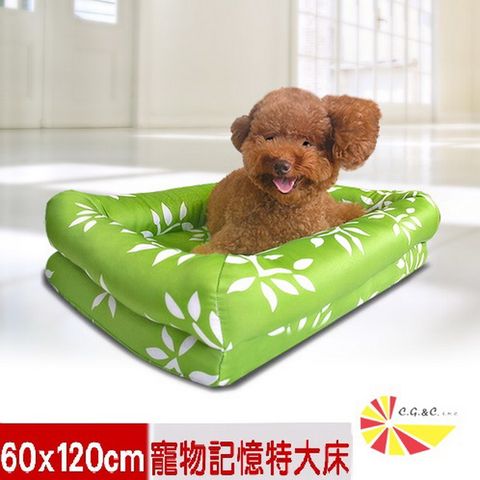 【凱蕾絲帝】記憶寵物時尚床墊(特大)-自然元氣(適合25公斤以上寵物使用)