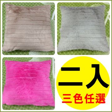 【范登伯格】波浪☆兔絨感雙面抱枕-(二入)(共三色)50x50cm