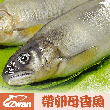 日丸水產 宜蘭特選帶卵母香魚(10尾/盒/1Kg)