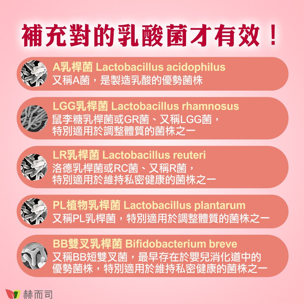 補充對的乳酸菌才有效!赫而司A乳桿菌Lactobacillus acidophilus又稱A菌,是製造乳酸的優勢菌株LGG Lactobacillus rhamnosus鼠李糖乳桿菌或GR菌、又稱LGG菌,特別適用於調整體質的菌株之一LR乳桿菌 Lactobacillus reuteri洛德乳桿菌或RC菌、又稱R菌,特別適用於維持私密健康的菌株之一PL植物乳桿菌 Lactobacillus plantarum又稱PL乳桿菌,特別適用於調整體質的菌株之一BB雙叉乳桿菌 Bifidobacterium breve又稱BB短雙叉菌,最早存在於嬰兒消化道中的優勢菌株,特別適用於維持私密健康的菌株之一