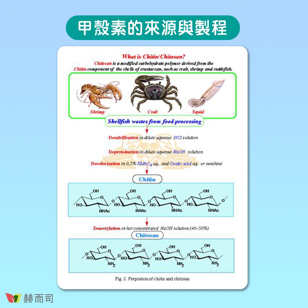 甲殼素的來源與製程What is  Chitosan is a modified carbohydrate polymer derived from theChit component of the  of , such as , shrimp and но-ShrimpSquidShellfish wastes from food processg in     in  ueous  Decolorization in %   and  acid aq or ChitinOHно-NHACDeacetylation in hot concentrated NaOH  (40-50%)ChitosanOHOHOHOH赫而司Fig 2. Prepration of chitin and chitosan