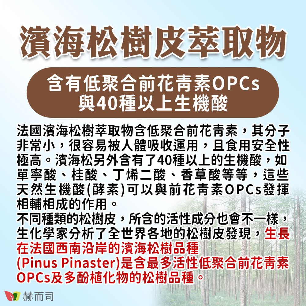 濱海松樹皮萃取物含有低聚合前花青素OPCs與40種以上生機酸法國濱海松樹萃取物含低聚合前花青素,其分子非常小,很容易被人體吸收運用,且食用安全性極高。濱海松另外含有了40種以上的生機酸,如單寧酸、桂酸、丁烯二酸、香草酸等等,這些天然生機酸(酵素)可以與前花青素OPCs發揮相輔相成的作用。不同種類的松樹皮,所含的活性成分也會不一樣,生化學家分析了全世界各地的松樹皮發現,生長在法國西南沿岸的濱海松樹品種(Pinus Pinaster)是含最多活性低聚合前花青素OPCs及多酚植化物的松樹品種。赫而司