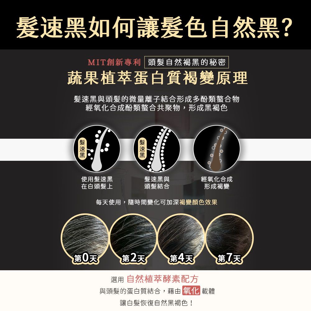 Pure Home 髮速黑植萃護髮素90ml 全新第五代｜白髮救星