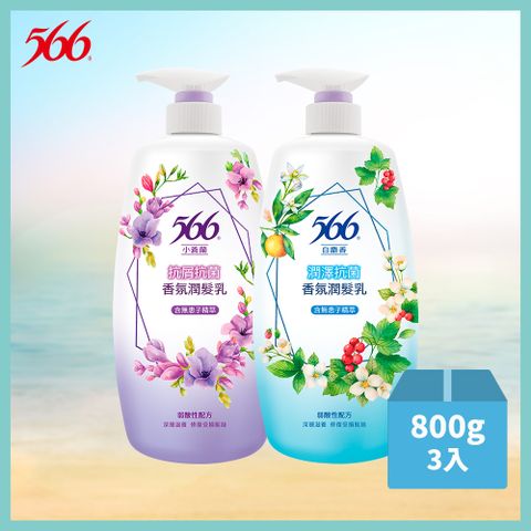 【566】香氛潤髮乳800g*3入組(小蒼蘭抗屑/白麝香潤澤 2款任選)