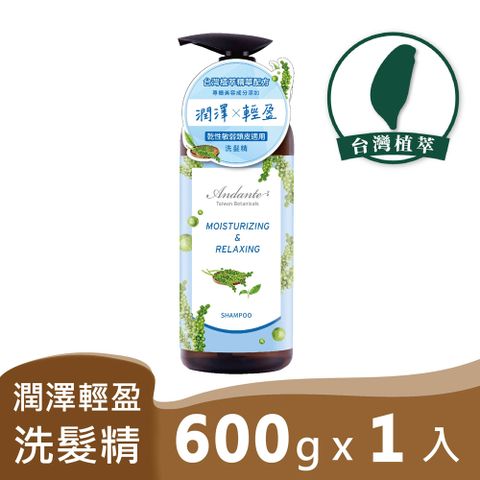 Andante安蝶媞 金萱玉露潤澤輕盈洗髮精600gX1瓶