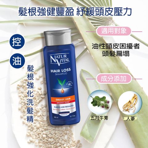 NATUR VITAL 咖啡因強健髮根洗髮精300mlx1瓶入(油性髮質適用)