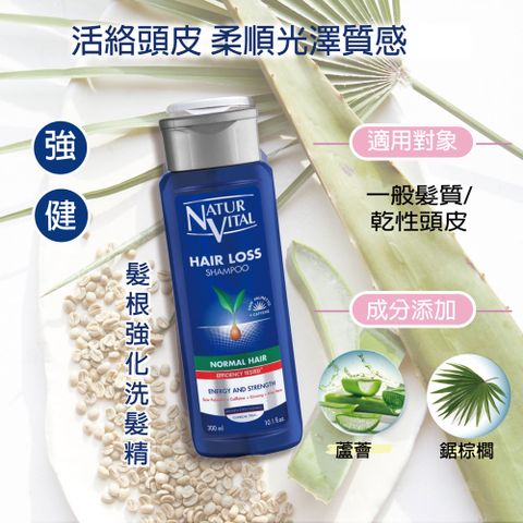 NATUR VITAL 咖啡因強健髮根洗髮精300mlx1瓶入(一般髮質適用)