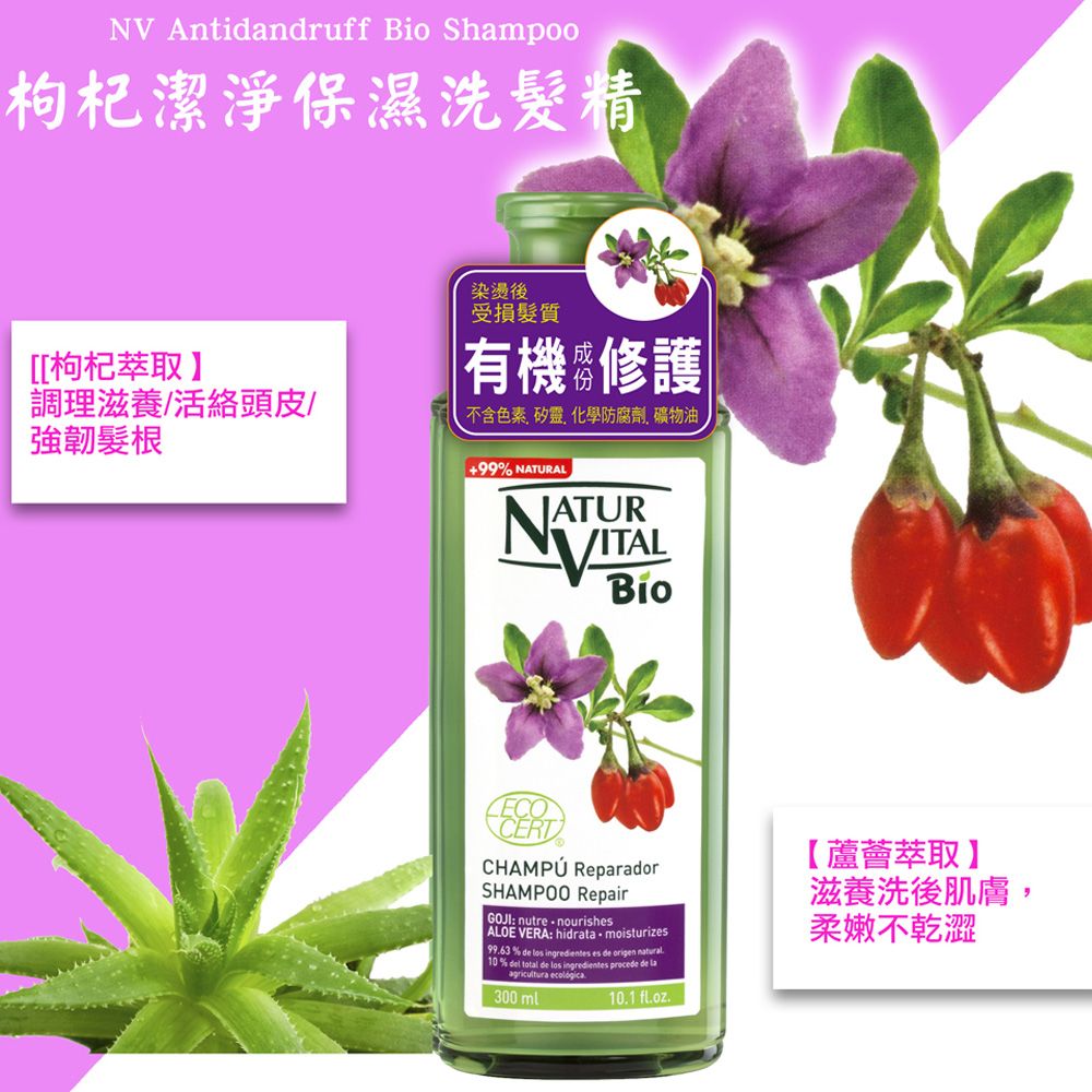  NATUR VITAL 西班牙有機洗髮精系列-控油潔淨洗髮精2入組