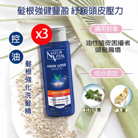 NATUR VITAL 咖啡因強健髮根洗髮精300mlx3瓶入(油性髮質適用)