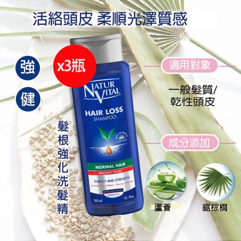 NATUR VITAL 咖啡因強健髮根洗髮精300mlx3瓶入(一般髮質適用)