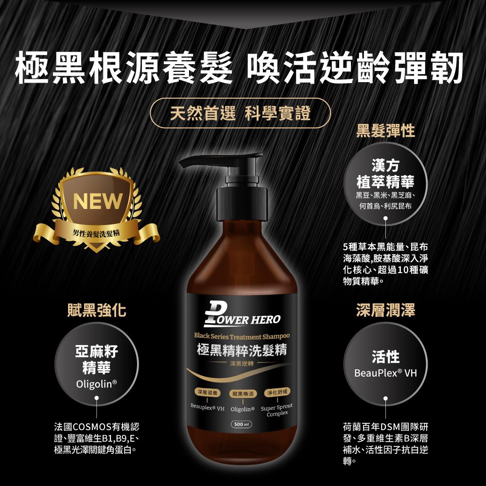 PowerHero 勁漢英雄 極黑精粹洗髮精x2瓶 (500ml/瓶)