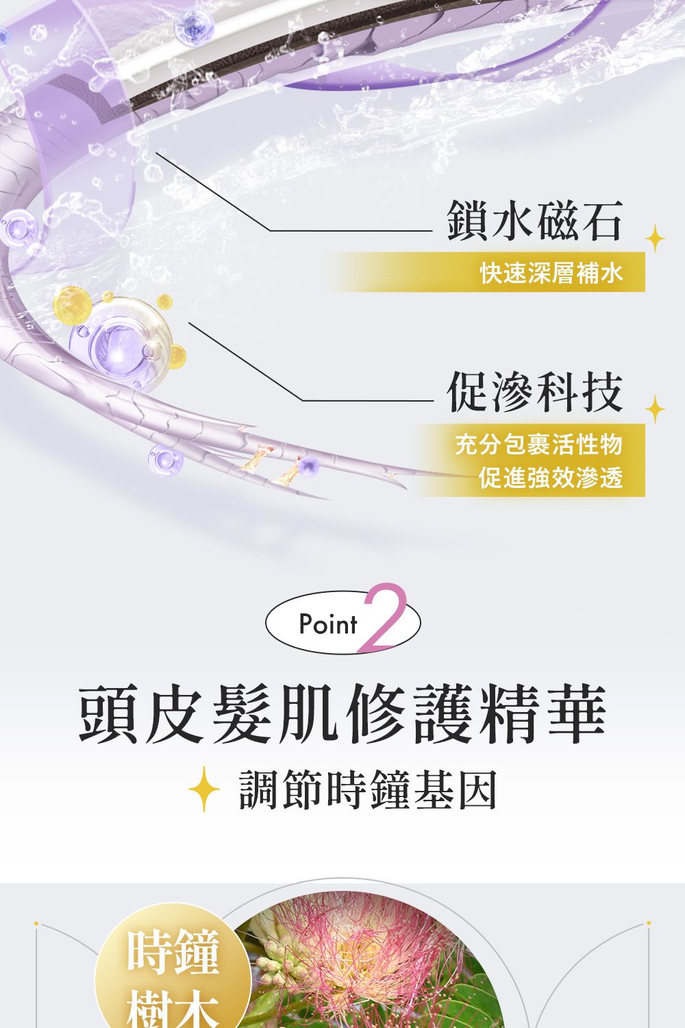 鎖水磁石快速深層補水促滲科技充分包裹活性物促進強效滲透Point頭皮髮肌修護精華時鐘樹木調節時鐘基因