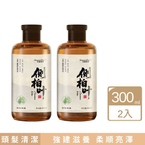 仲夏青春無患子側柏葉洗髮精 300ml 2入組