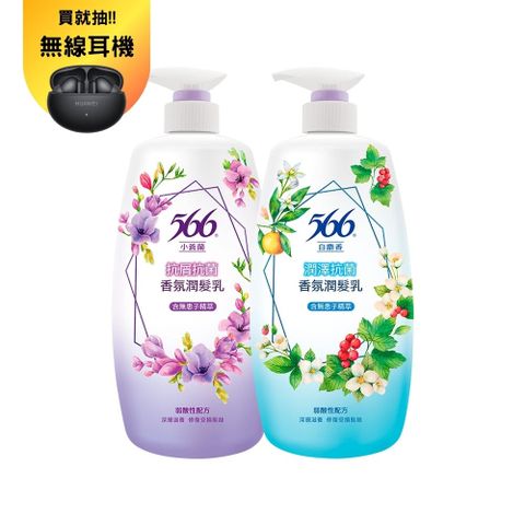 【566】香氛潤髮乳800g(小蒼蘭抗屑/白麝香潤澤 2款任選)