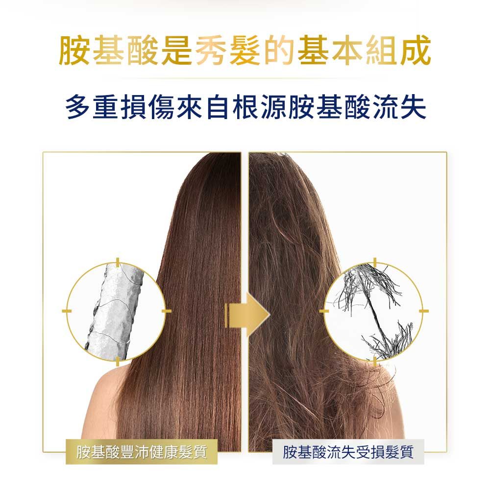 胺基酸是秀髮的基本組成多重損傷來自根源胺基酸流失胺基酸豐沛健康髮質胺基酸流失受損髮質