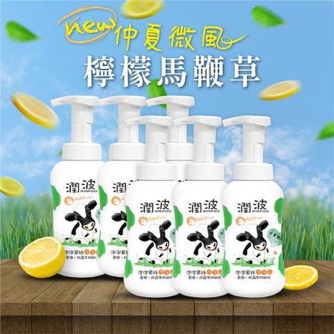 潤波 茶樹抗菌牛奶 泡泡慕絲洗手乳300mlx6瓶 【新香味:檸檬馬鞭草】