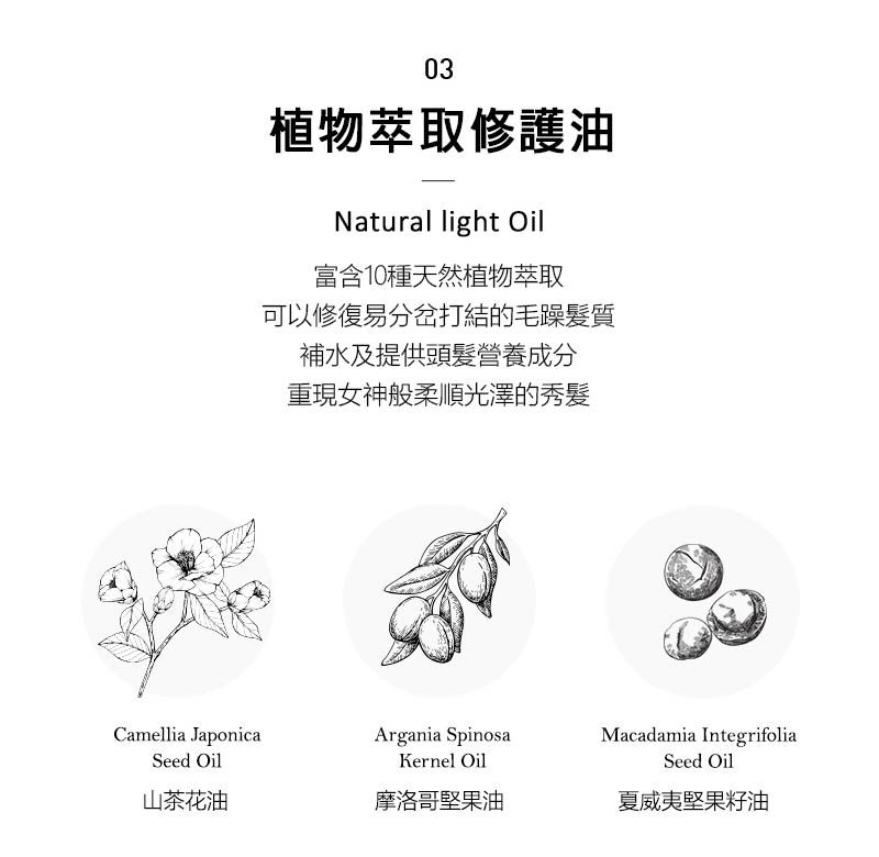 03植物萃取修護油Natural light Oil富含10種天然植物萃取可以修復易分岔打結的毛躁髮質補水及提供頭髮營養成分重現女神般柔順光澤的秀髮Camellia JaponicaArgania SpinosaMacadamia IntegrifoliaSeed OilKernel OilSeed Oil山茶花油摩洛哥堅果油夏威夷堅果籽油