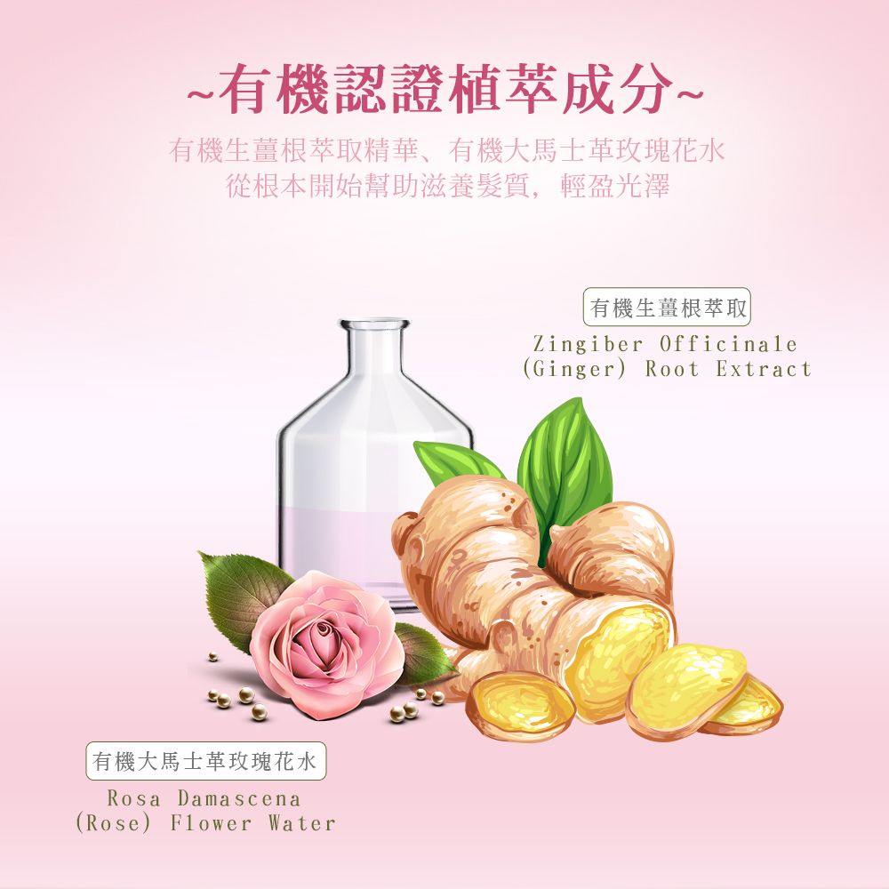 Petal Fresh 沛特斯玫瑰生薑滋養洗髮精16oz/475ml