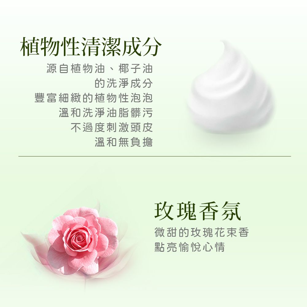 Petal Fresh 沛特斯玫瑰生薑滋養洗髮精16oz/475ml