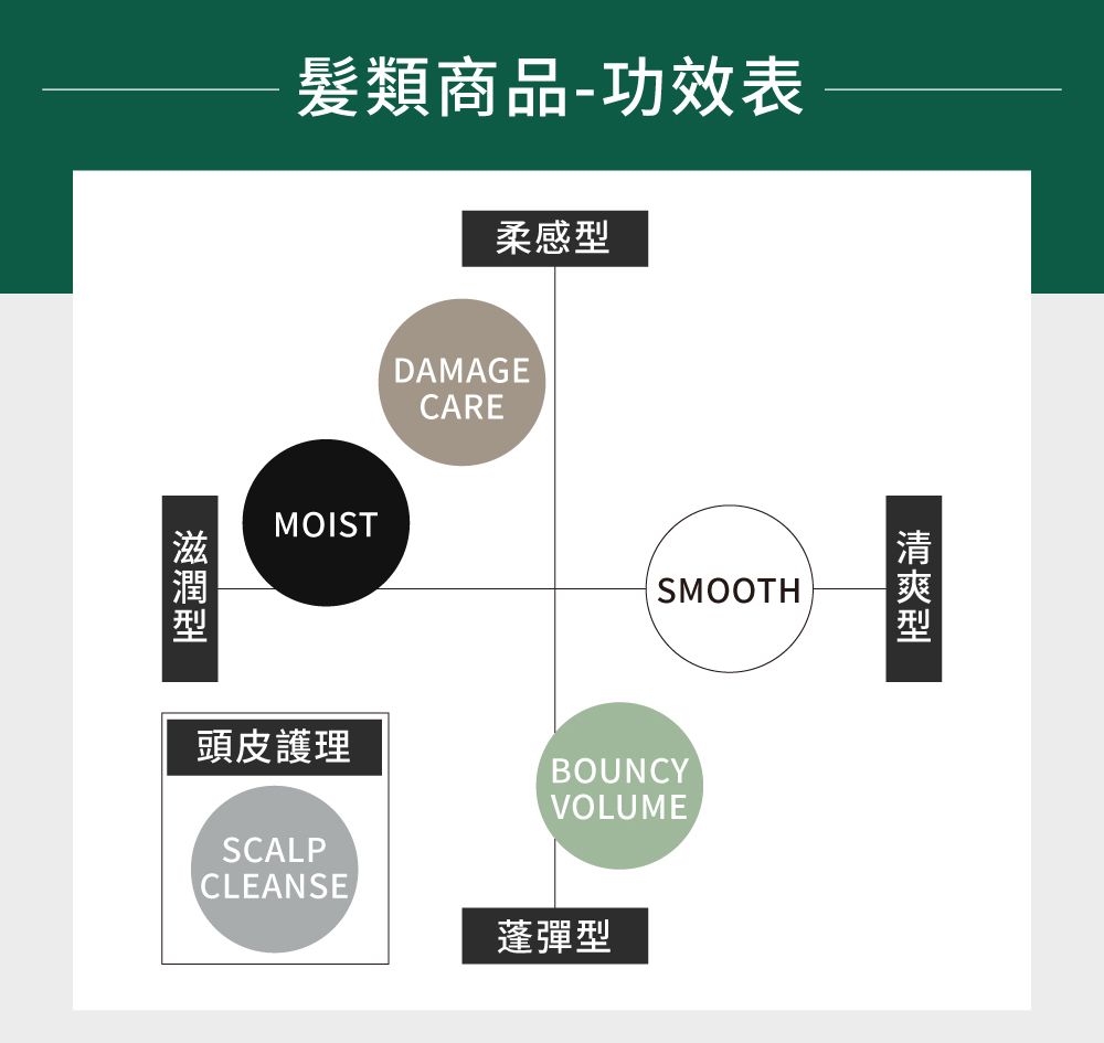 髮類商品-功效表柔感DAMAGECAREMOISTSMOOTH頭皮護理BOUNCYVOLUMESCALPCLEANSE蓬彈型型