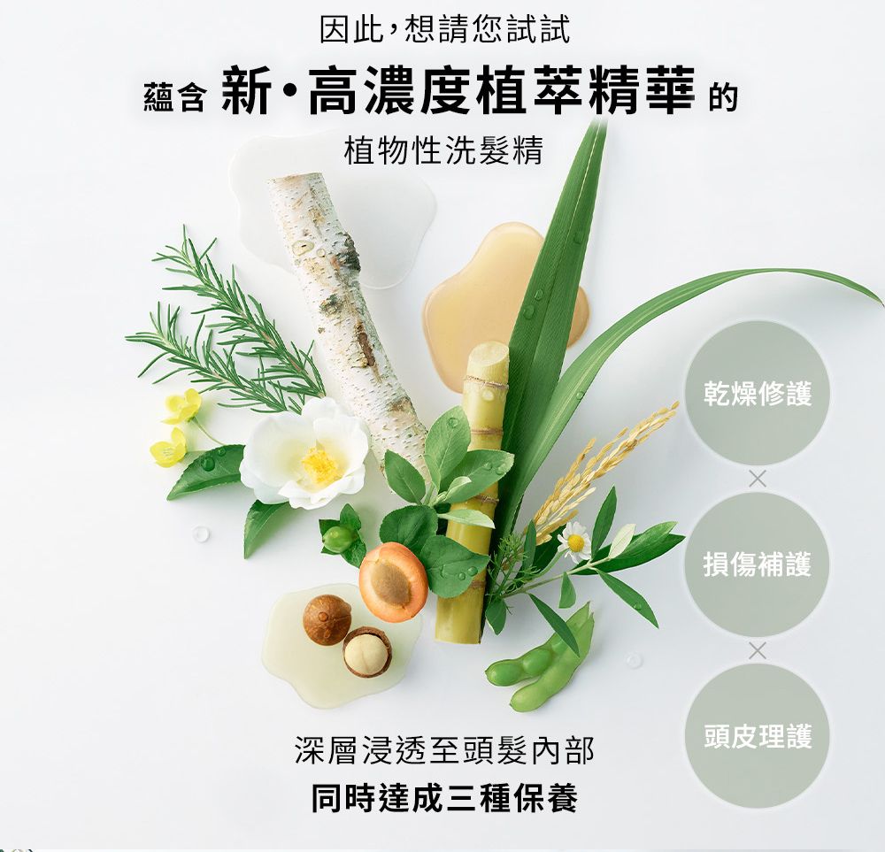 BOTANIST  植物性洗髮精(滋潤型) 杏桃&茉莉 460ml